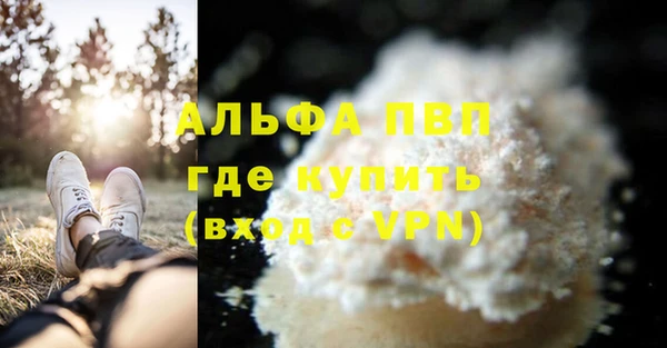 Альфа ПВП Коряжма
