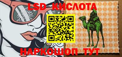 прущие грибы Бийск