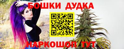 прущие грибы Бийск