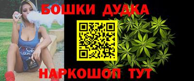 молекула духа Будённовск