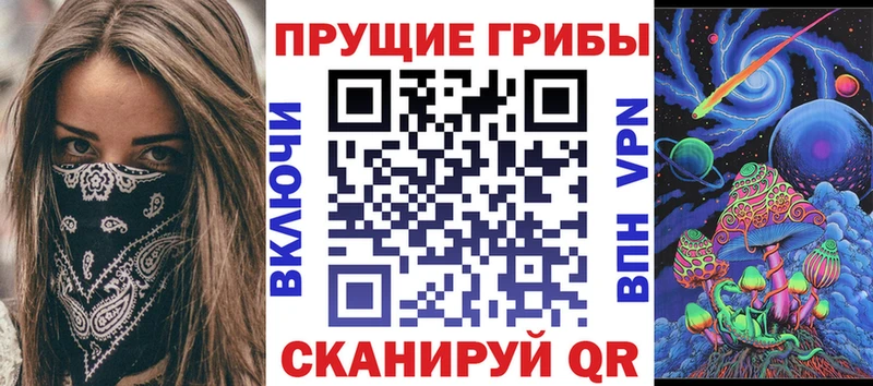 Галлюциногенные грибы Psilocybine cubensis  omg   Елец 